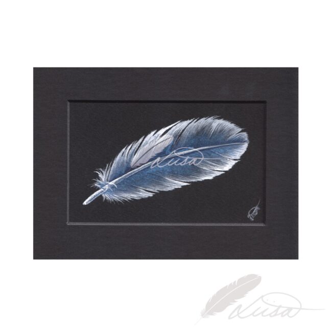 Blue and White Iridescent Feather Original Painting by Liisa Clark