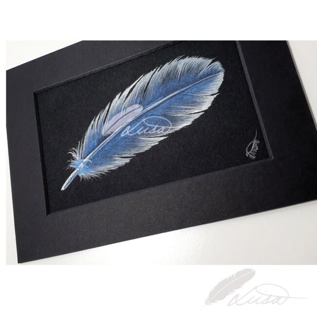 Blue and White Iridescent Feather Original Painting by Liisa Clark