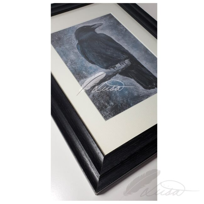 Limited Edition Giclee Print of Crow Drawn in Pastels Framed in Black Frame by Artist Liisa Clark