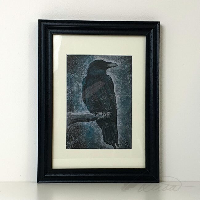 Limited Edition Giclee Print of Crow Drawn in Pastels Framed in Black Frame by Artist Liisa Clark