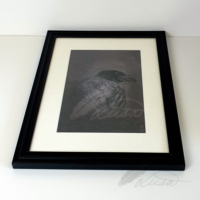 Limited Edition Giclee Print of a Raven Framed in Black Frame by Artist Liisa Clark