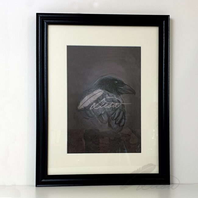 Limited Edition Giclee Print of a Raven Framed in Black Frame by Artist Liisa Clark