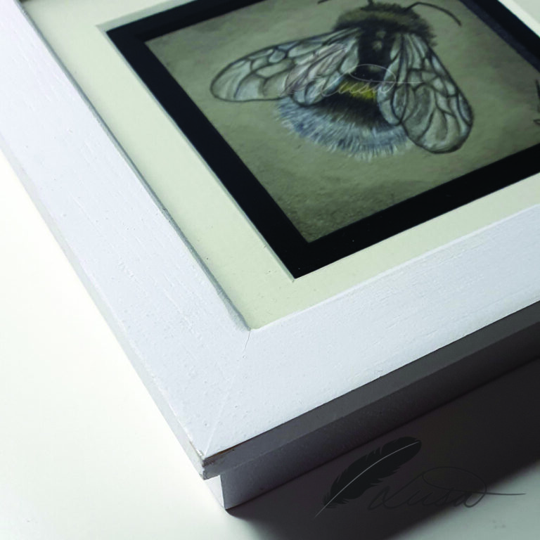 Close up of Limited edition Giclee Print of Resting Bee in Rustic White Box Frame by Artist Liisa Clark