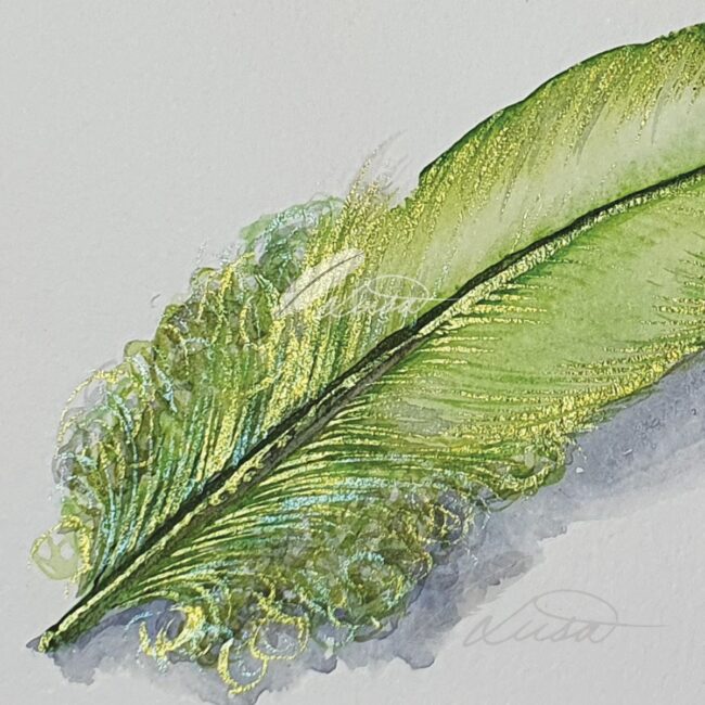 Close up of Light Green Iridescent Feather Original Painting by Liisa Clark