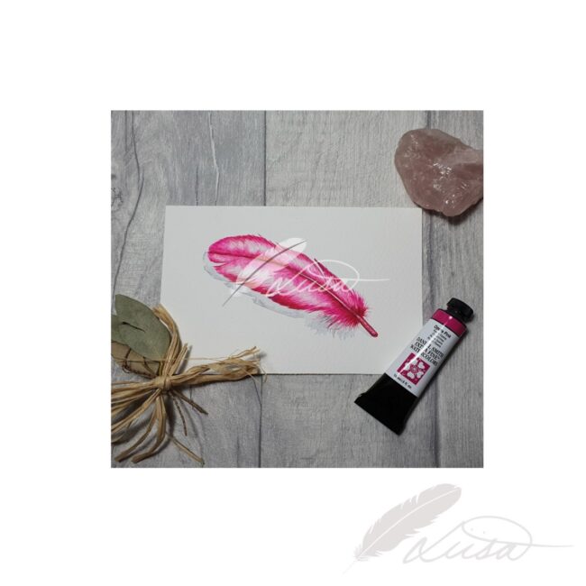 Pink Feather Original watercolour Painting by Liisa Clark