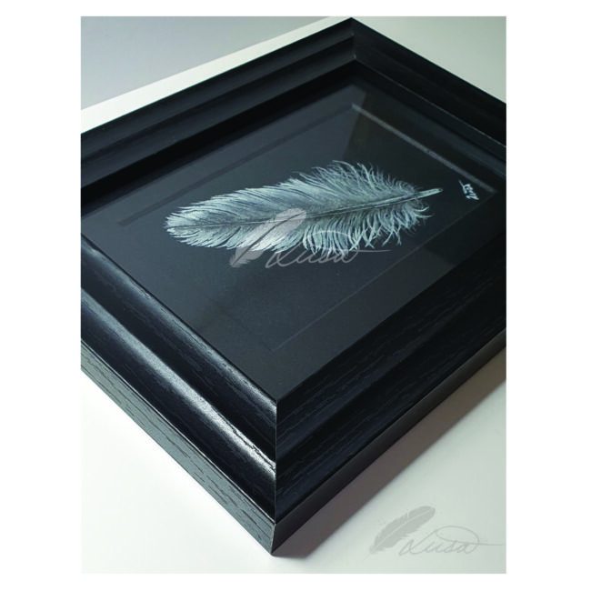 Watercolour painting of a Iridescent Silver Feather in a Black frame by Liisa Clark