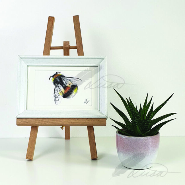 Limited Edition Giclee Print of Fluffy Bumble Bee in White Frame and Mount