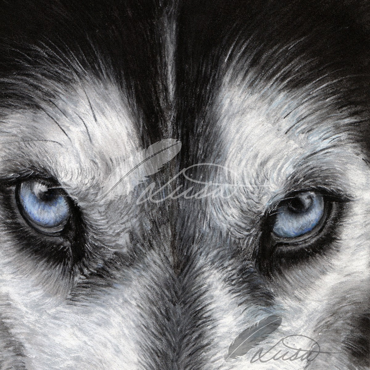 Husky Commission by Liisa Clark