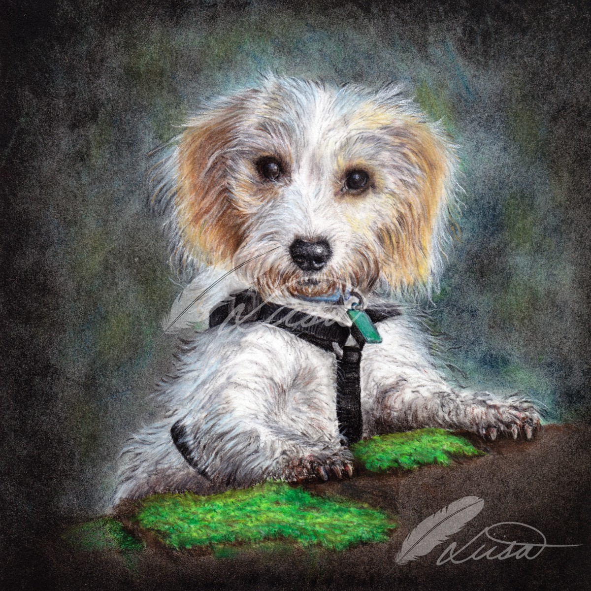 Commission of Scruffy Puppy by Liisa Clark