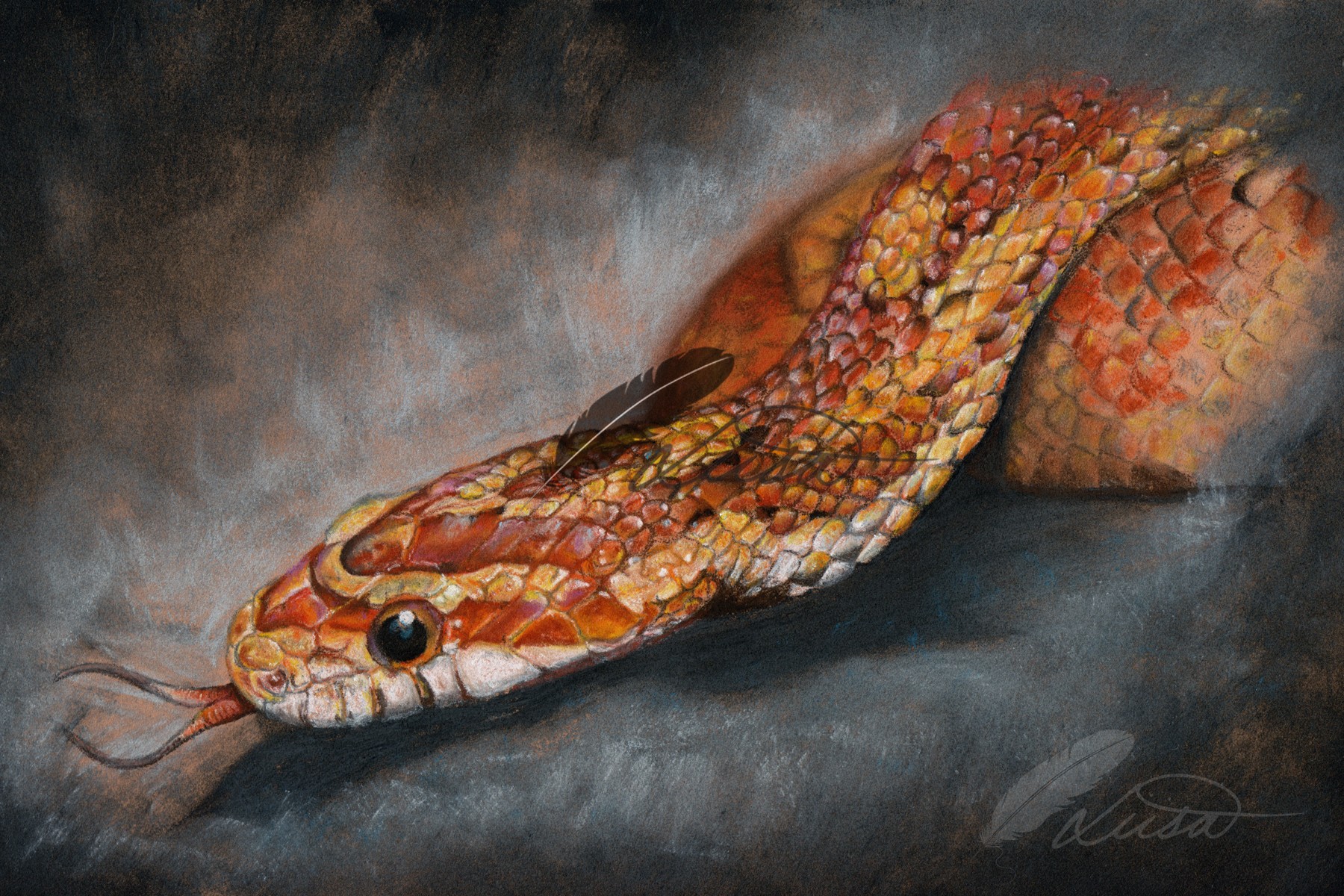 Commission Photo of Snake by Liisa Clark