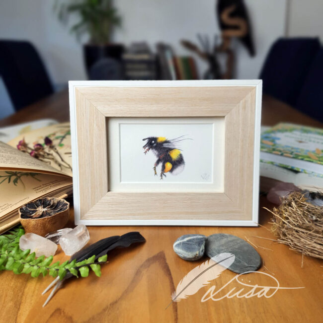 Limited Edition Giclee Print of Bumble Bee in Contemporary white and wood Frame
