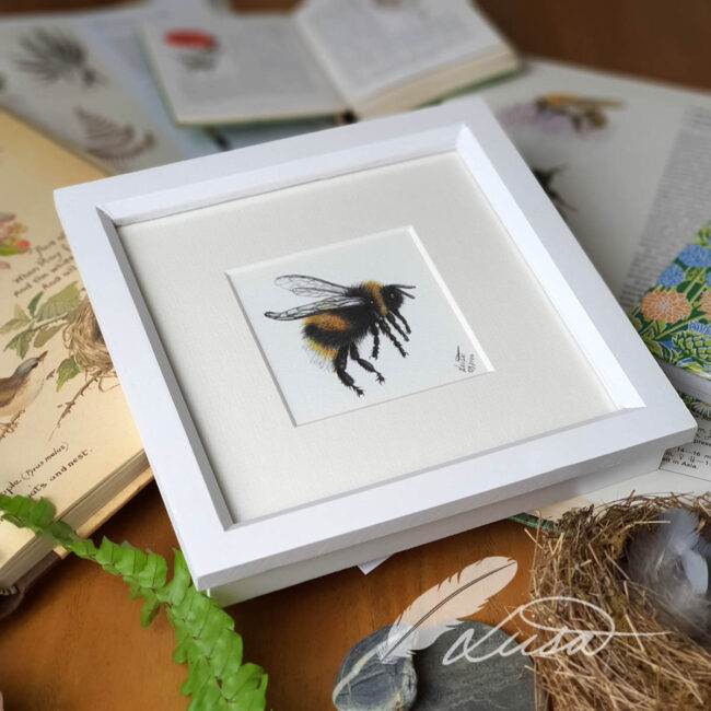 Limited Edition Giclee Print of Bumble Bee in Contemporary white Frame