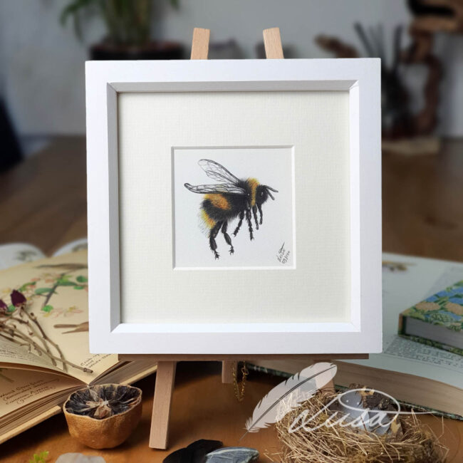 Limited Edition Giclee Print of Bumble Bee in Contemporary white Frame