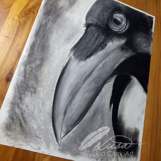 Large Black and white Monochrom Charcoal and Chalk Drawing of a Magpie by Liisa Clark