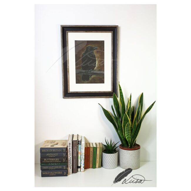 Limited Edition Giclee Print of a Crow Framed in Black Frame by Artist Liisa Clark