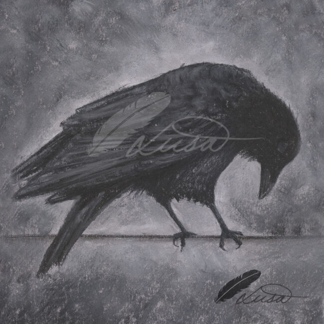 Limited edition Giclee Print of a Crow drawn in Pastels