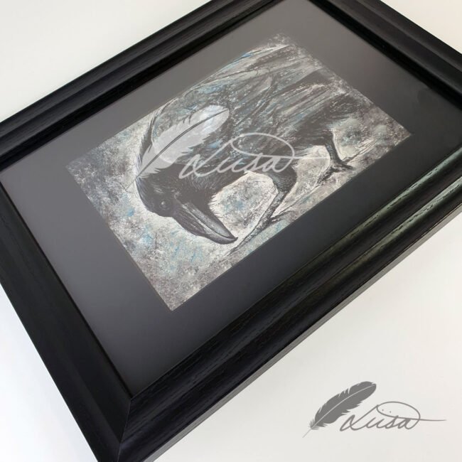 Limited edition Giclee Print of a Raven drawn in Pastels by Artist Liisa Clark
