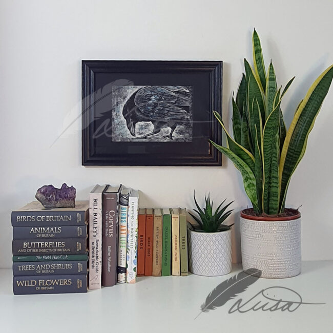 Limited edition Giclee Print of a Raven drawn in Pastels by Artist Liisa Clark