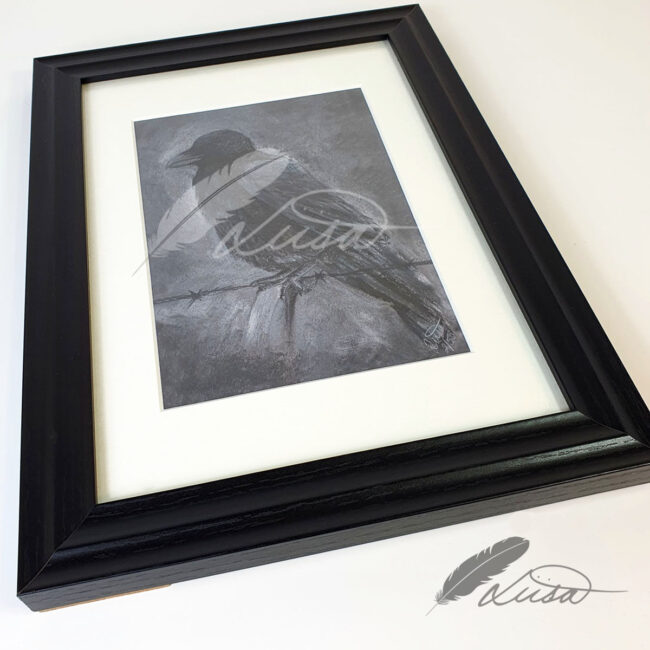 Limited edition Giclee Print of a Crow drawn in Pastels by Artist Liisa Clark