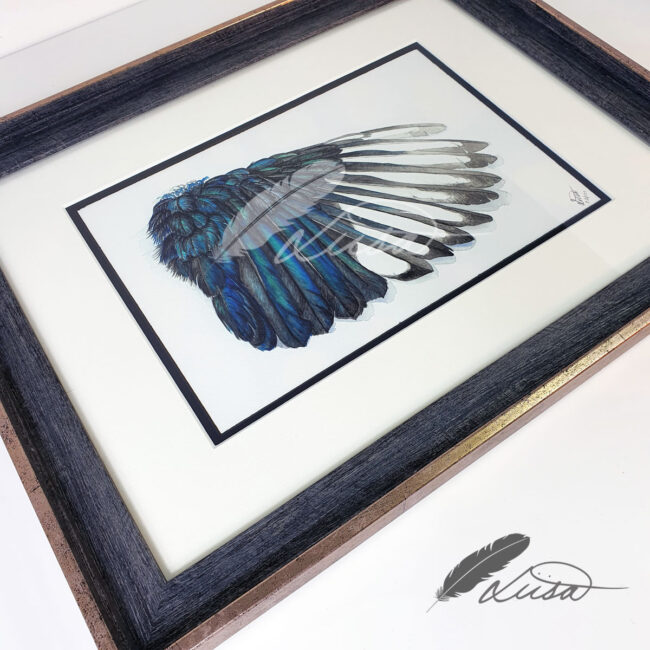 Limited Edition Giclee Print of a Watercolour Magpie Wing by Artist Liisa Clark