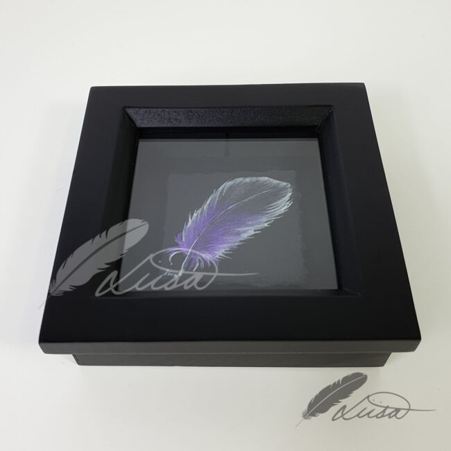 Iridescent Purple and Black Watercolour painting of a Feather Floating in a Black Boxframe by Liisa Clark