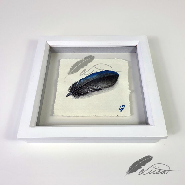 Hand Painted Crow feather floating in a White Box Frame
