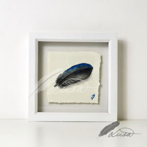 Hand Painted Crow feather floating in a White Box Frame