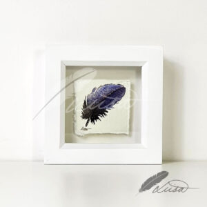 Galaxy Blue and Black Watercolour Feather Floating in a White Boxframe by Liisa Clark