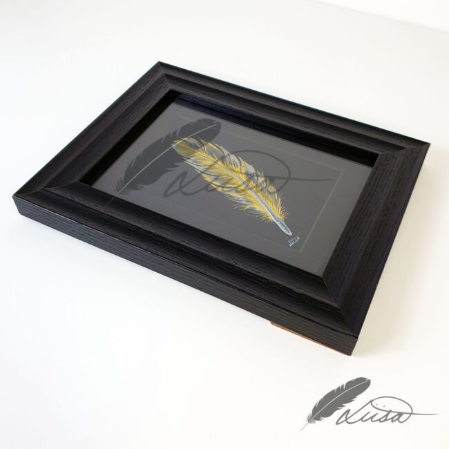 Watercolour painting of an Iridescent Gold Feather in a Black frame by Liisa Clark