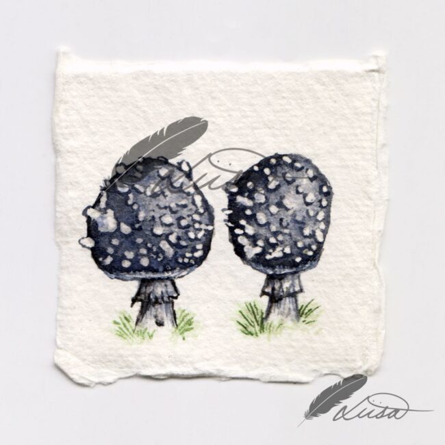 Original Watercolour painting of Grey Aminata Toadstools in a white boxframe by Liisa Clark