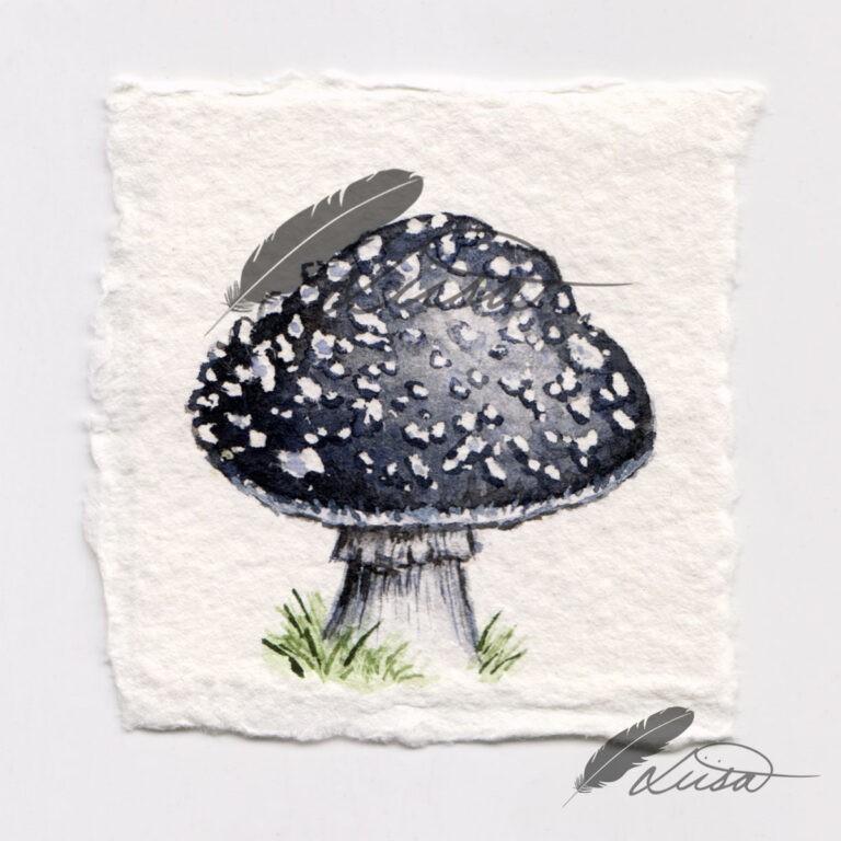 Original Watercolour painting of Grey Aminata Toadstools in a white boxframe by Liisa Clark