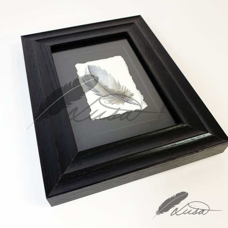 Winters Heart Watercolour Feather Floating in a White Boxframe by Liisa Clark