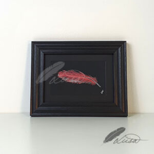 Watercolour painting of an Iridescent Pink Feather in a Black frame by Liisa Clark