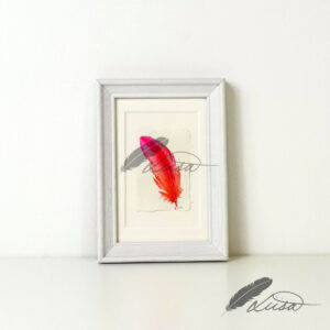 Pink and orange Watercolour Feather Floating in a White Boxframe by Liisa Clark