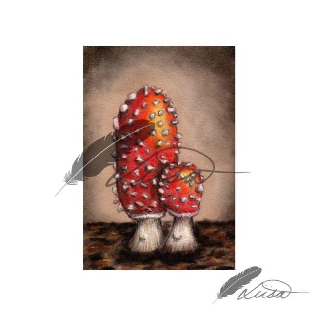 Fly Agaric Musroom drawn on Velour Pastel Paper by Liisa Clark