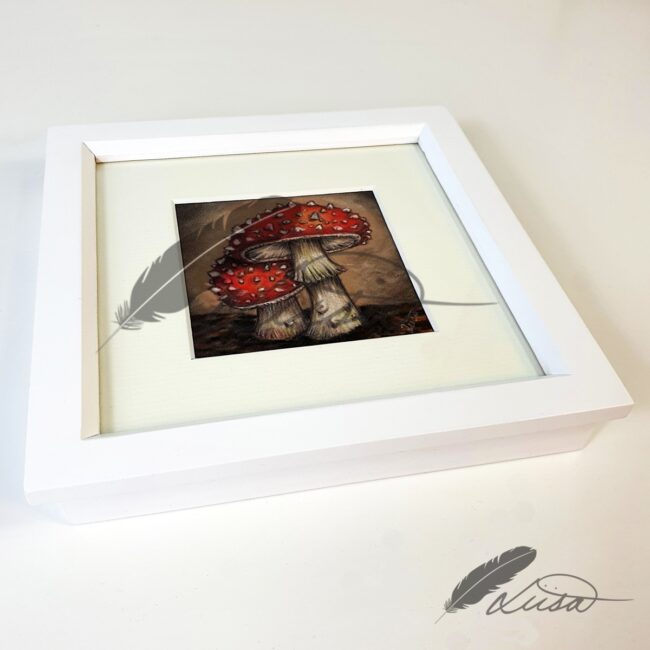 Original Drawing by Liisa Clark of a Fly Agaric Toadstools drawn on Velour Pastel Paper Set in a Rustic White Box frame
