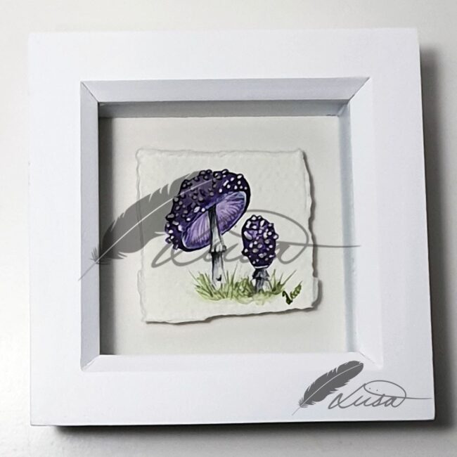Original Watercolour painting of Purple Aminata Toadstools in a white boxframe by Liisa Clark