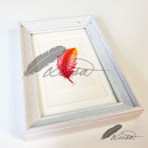 Summer of Love Watercolour Feather Floating in a White Boxframe by Liisa Clark