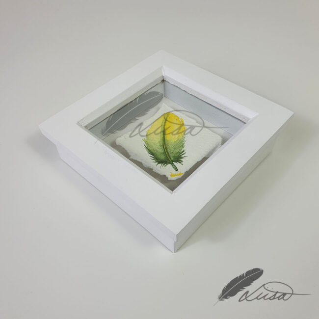 Spring Watercolour Feather Floating in a White Boxframe by Liisa Clark