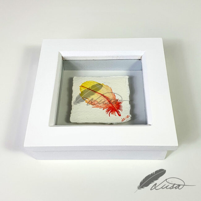Summer Watercolour Feather Floating in a White Boxframe by Liisa Clark