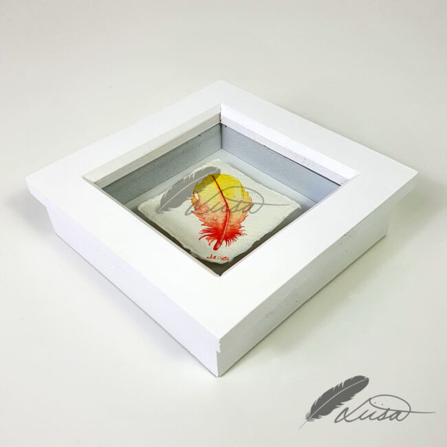Summer Watercolour Feather Floating in a White Boxframe by Liisa Clark