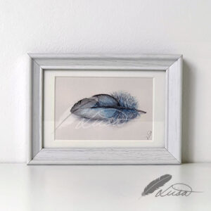 Limited edition Giclee Print of Blue Feather in white Frame