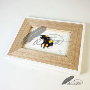 Limited Editiion Giclee Print Bumble Bee in White and wood Frame