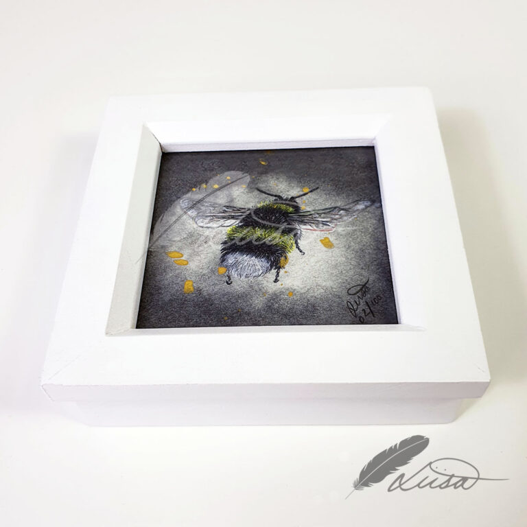 Limited Editiion Giclee Print Being Still in White Box Frame