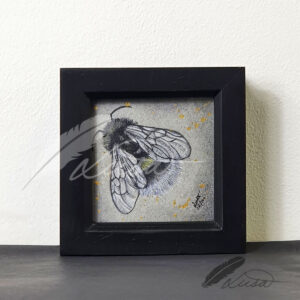 Limited Editiion Giclee Print Resting Bumble in Black Box Frame
