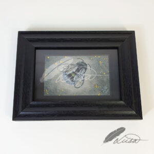 Limited Editiion Giclee Print Resting Bumble in Black Frame