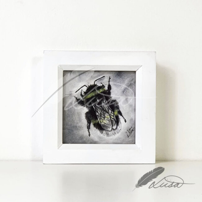 Limited Editiion Giclee Print Charcoal Bee in White Box Frame