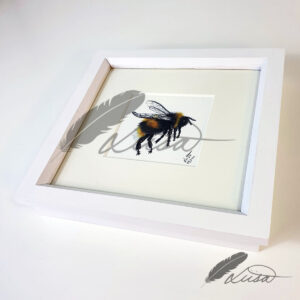Limited Editiion Giclee Print Bumble Bee in White Box Frame
