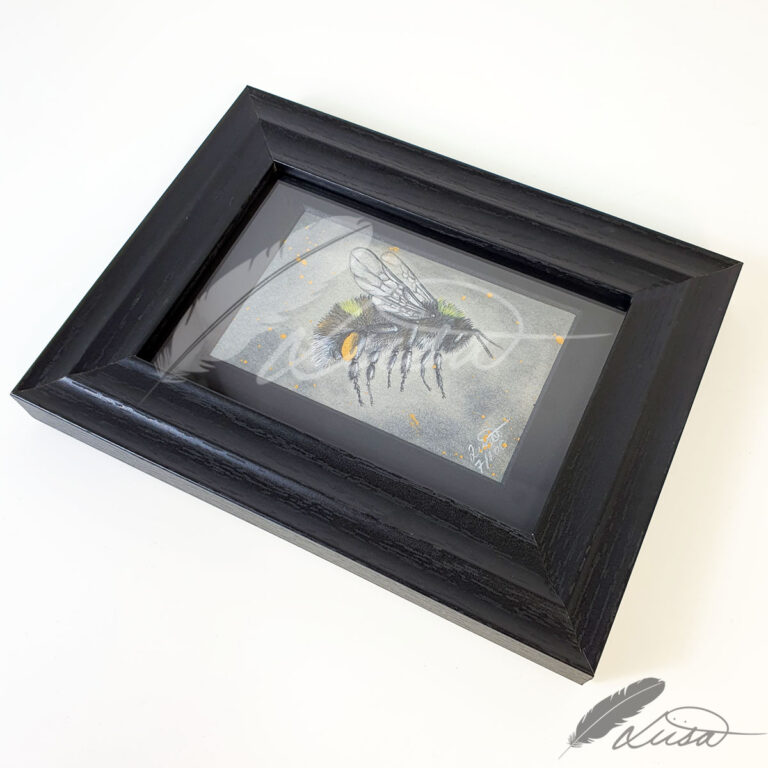 Limited Editiion Giclee Print Flight with Wings in Black Frame