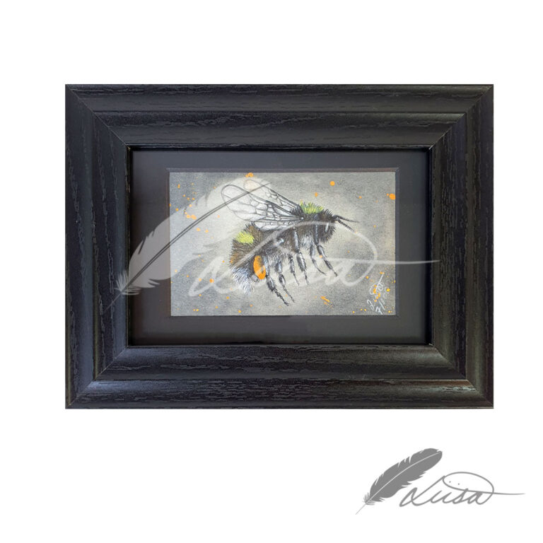 Limited Editiion Giclee Print Flight with Wings in Black Frame